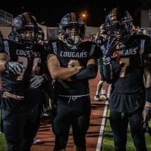 Meet your Posher, Max